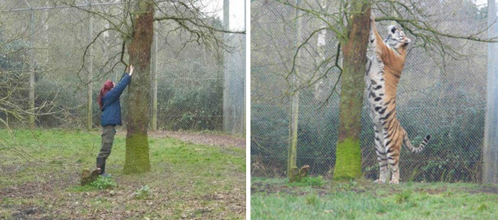 世上最难以置信的十种动物,你没有过的36个罕见动物事实