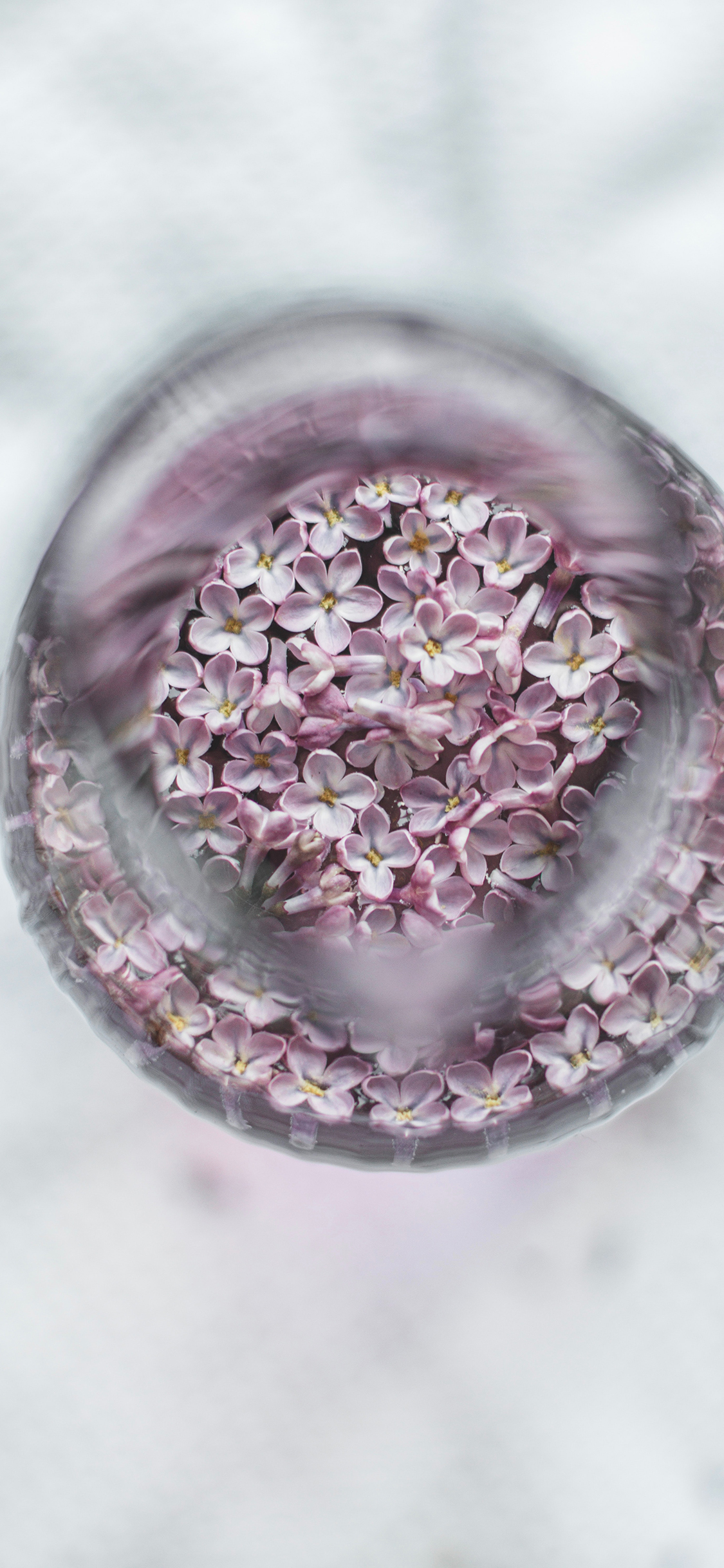 2023年手机壁纸,2023年最新款超清手机壁纸