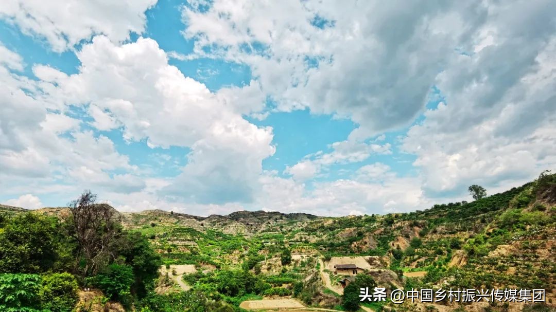 政府扶持乡村振兴的项目有哪些,2024乡村振兴政府补贴重点项目