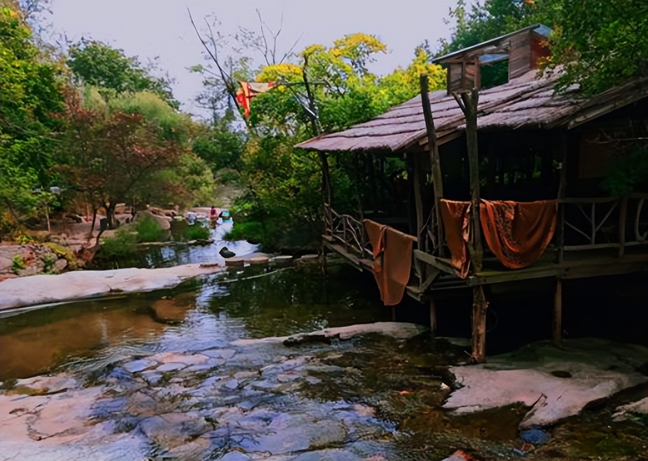 凝聚与分离：《歇马山庄》中的女性羁绊，与对农村生活困境的剖析