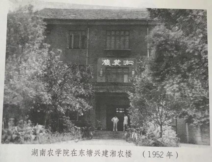 ​设计院扎堆的东塘，也是长沙的“西单”