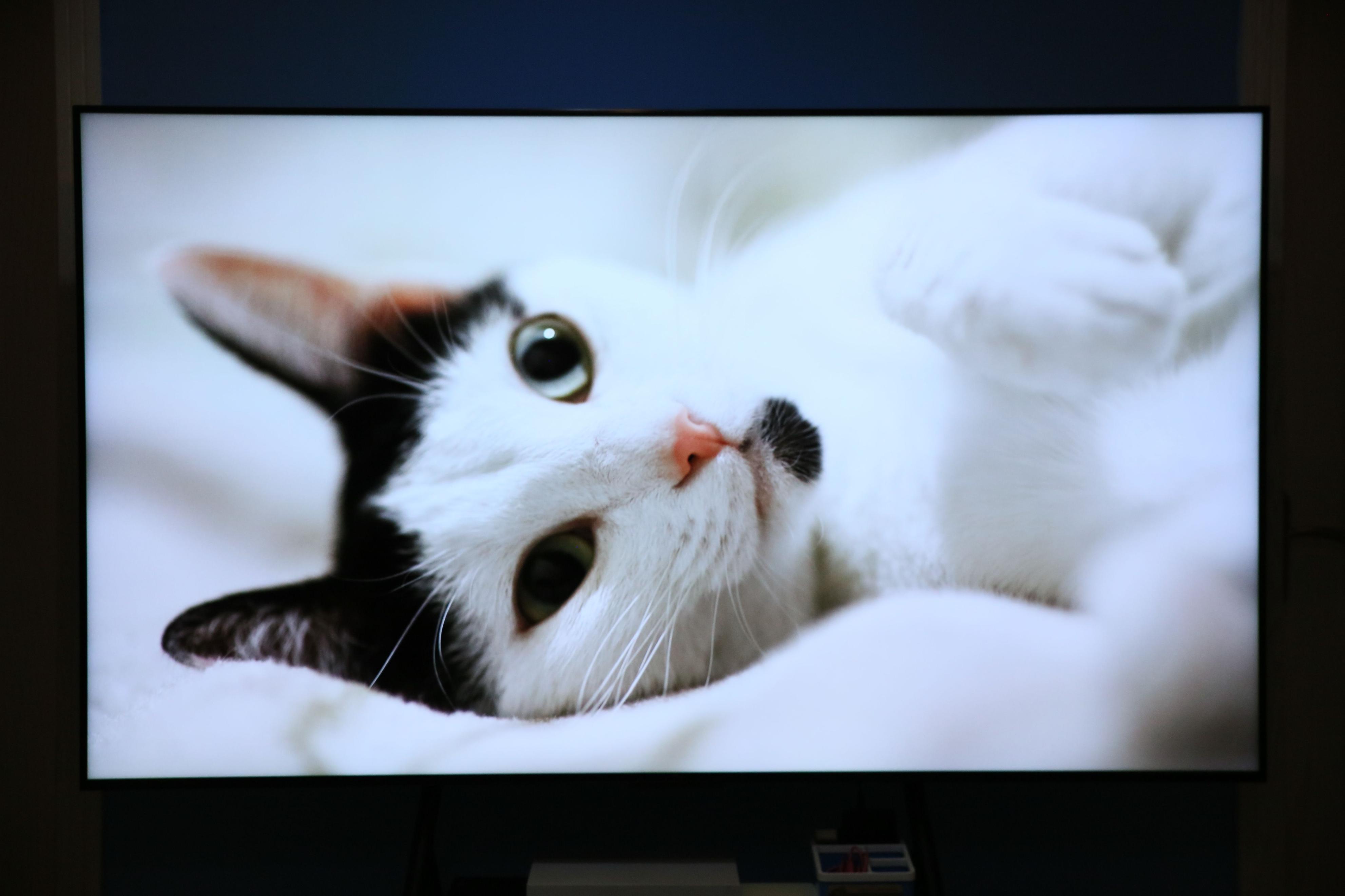 2022最值得买的miniled电视,2023年热销的tcl电视