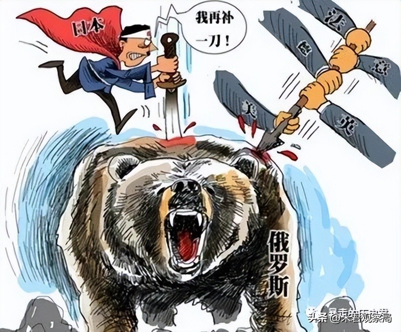 普京对海参崴态度,普京评价海参崴