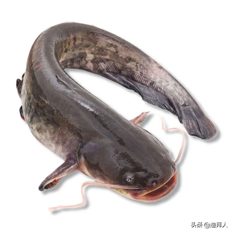 杩嫓瓒呭競娴烽矞,杩嫓瓒呭競娴烽奔