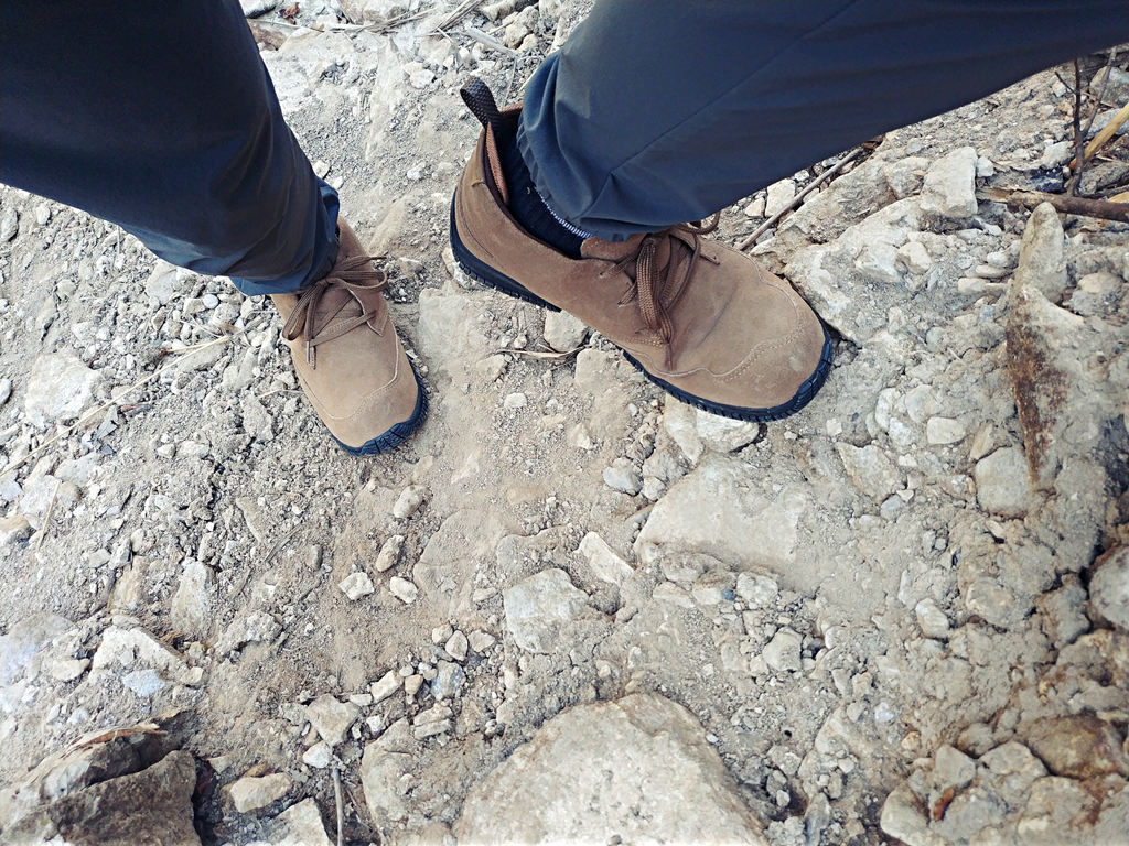 閬ㄦ父浠昹3鍜宭3n,閬ㄦ父浠曠櫥灞遍瀷l3鍜宭1