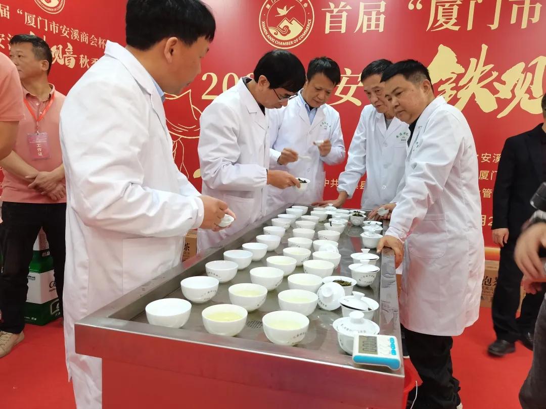 厦门安溪商会茶王赛现场直播,安溪铁观音秋季茶王赛获奖名单