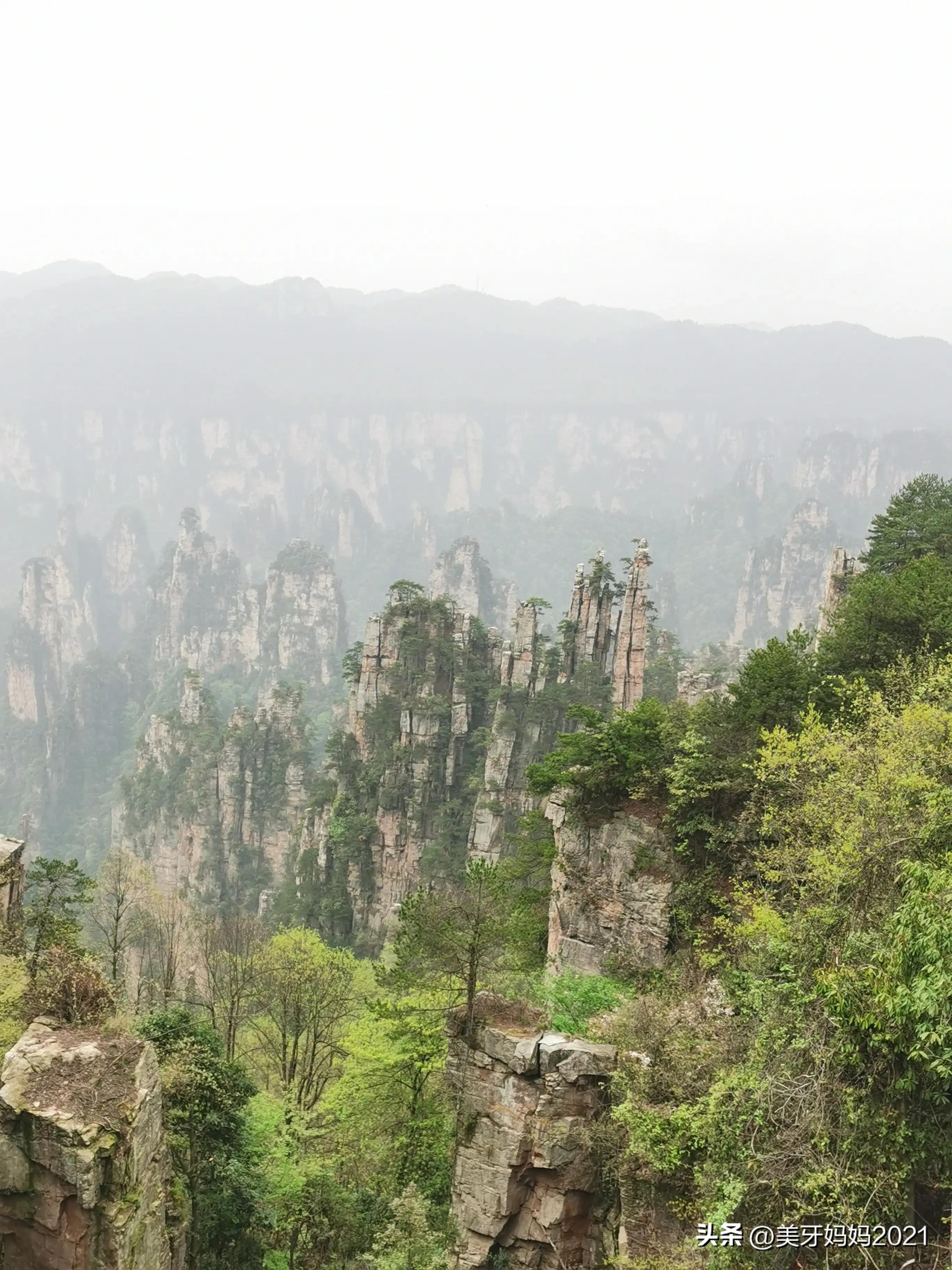第一次长途三天旅行张家界,我的张家界旅行视频