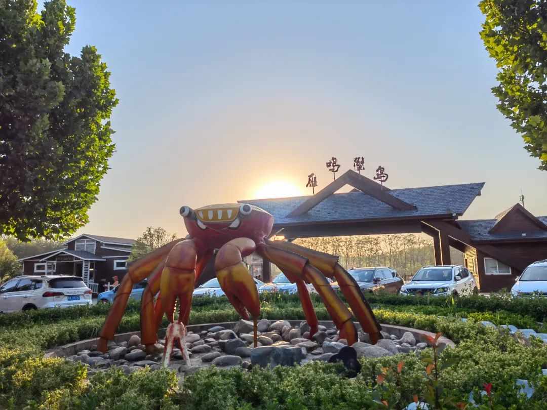 郑州雁鸣蟹岛,郑州雁鸣蟹岛怎么样