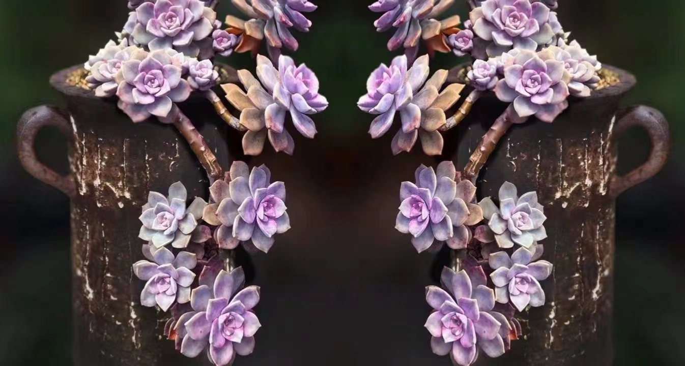 拼图技巧讲解300片,拼图技巧讲解1000片背面不带字