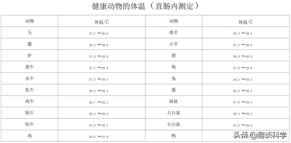 40斤大蟒蛇被树藤困住,广西巨蟒事件
