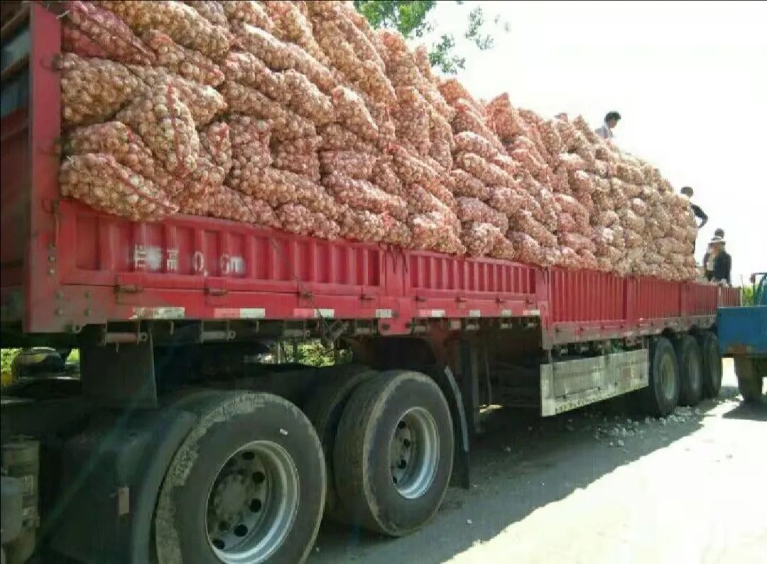 城市白领到年卖10万吨大蒜的女强人，河南杞县女老板林林如何做到