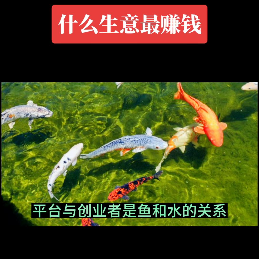 创业课堂分享持续赚钱项目,轻松创业的赚钱方法