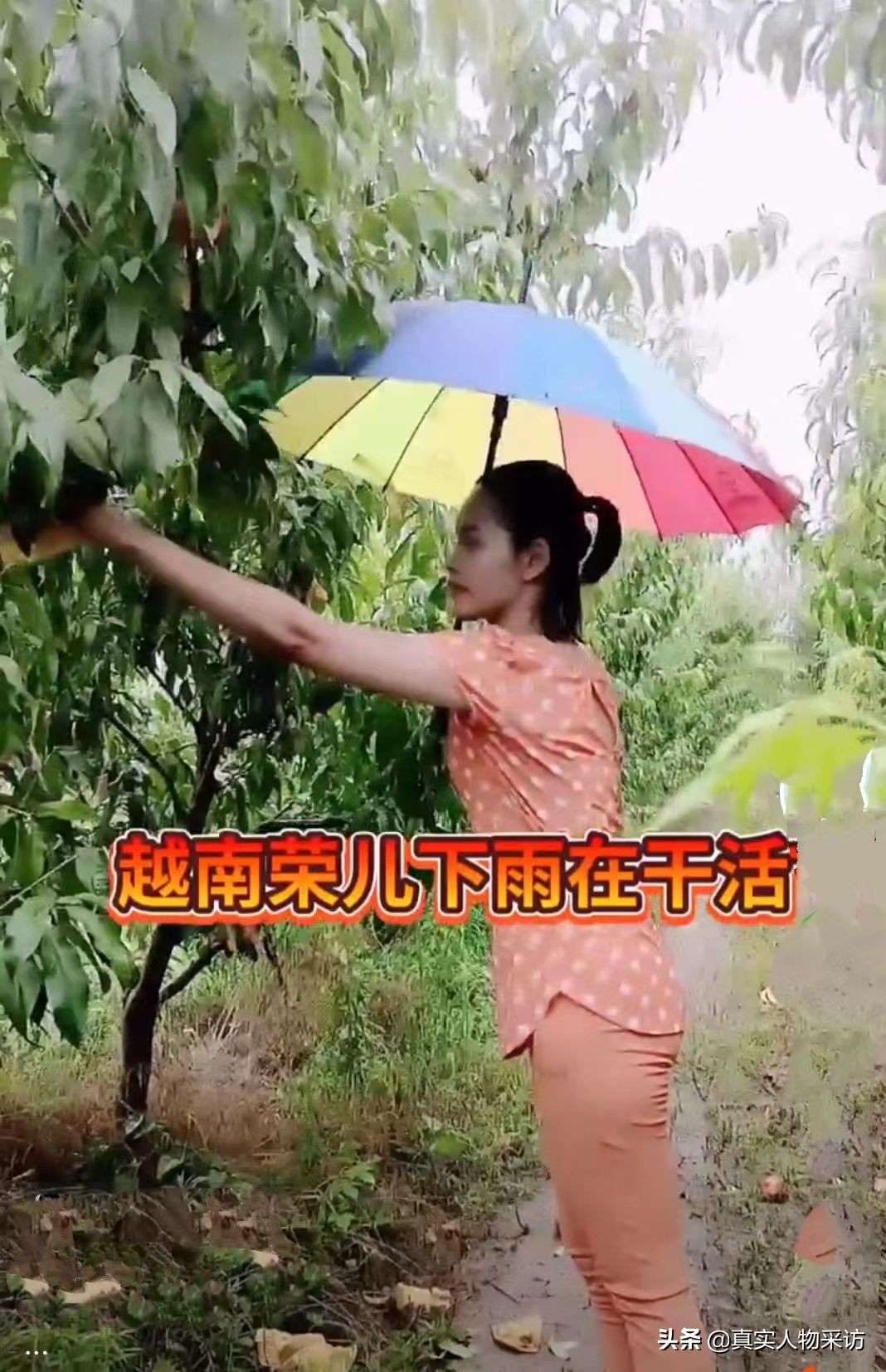 来自越南的姑娘嫁给了一个河南人,越南姑娘19岁嫁给山东小伙