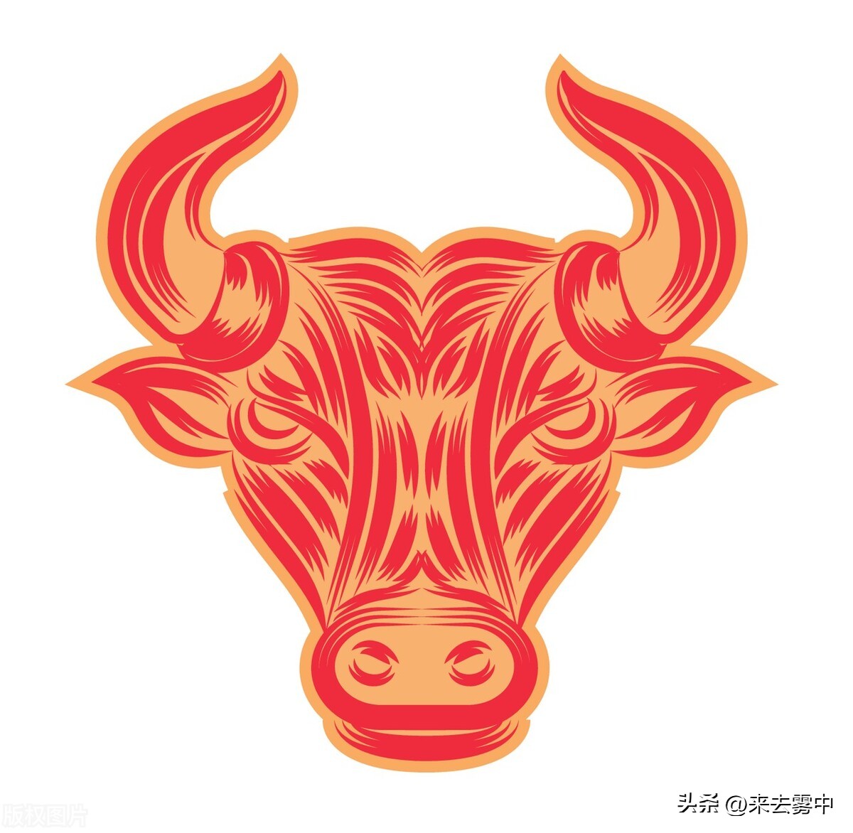 业余乒乓球怎么提高比赛水平,业余乒乓选手怎么提高步伐