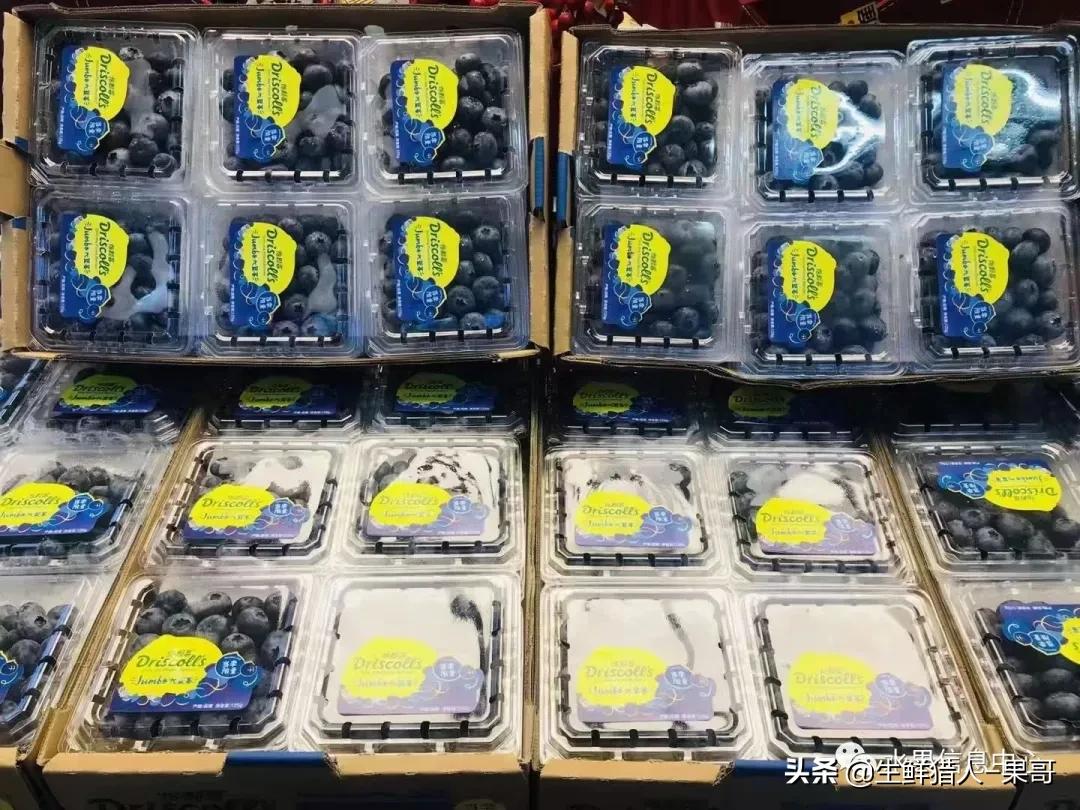 在水果中浆果是分哪几种,水果分类浆果