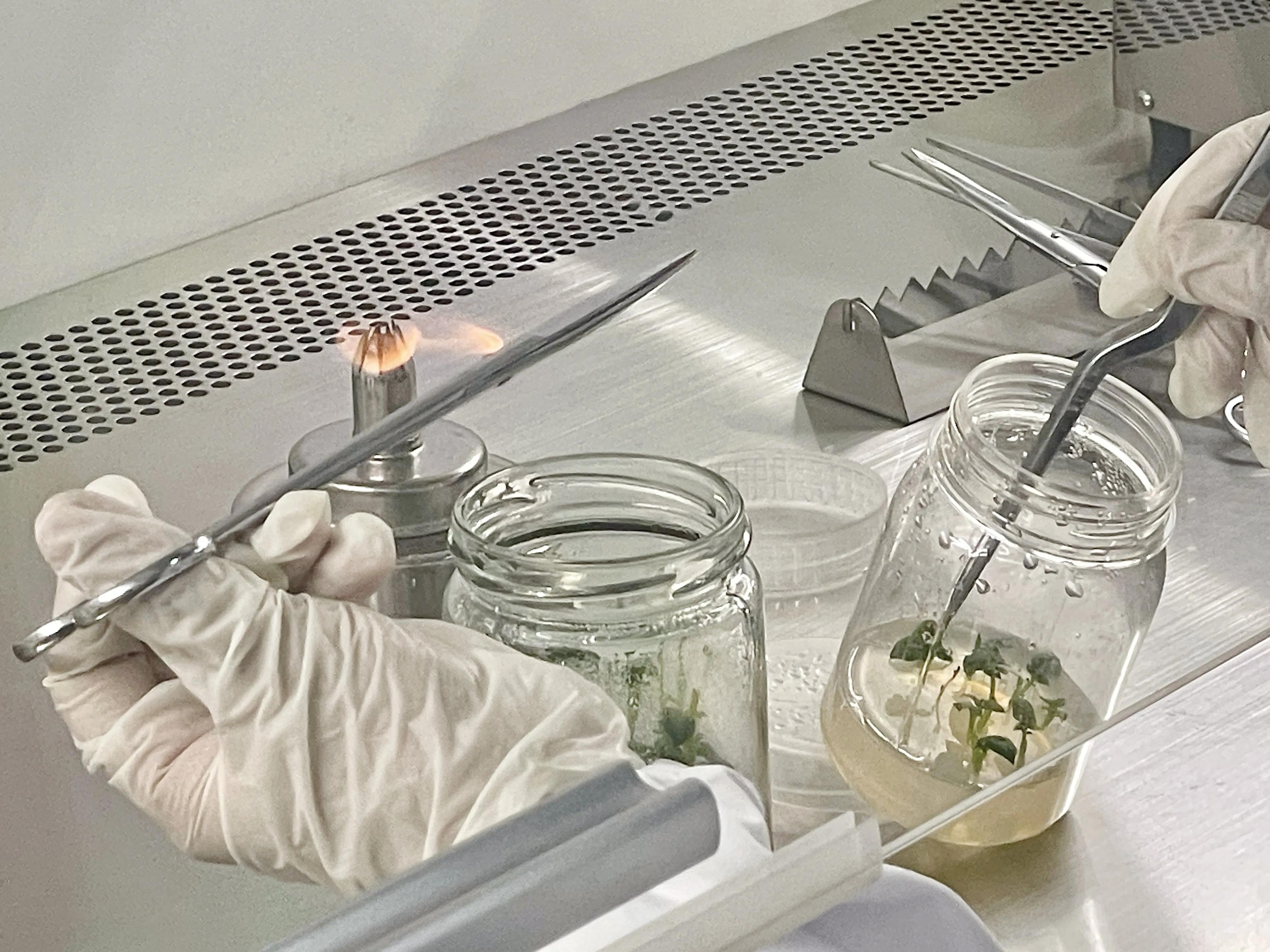 乡村振兴浮山小土豆,乡约乡村振兴