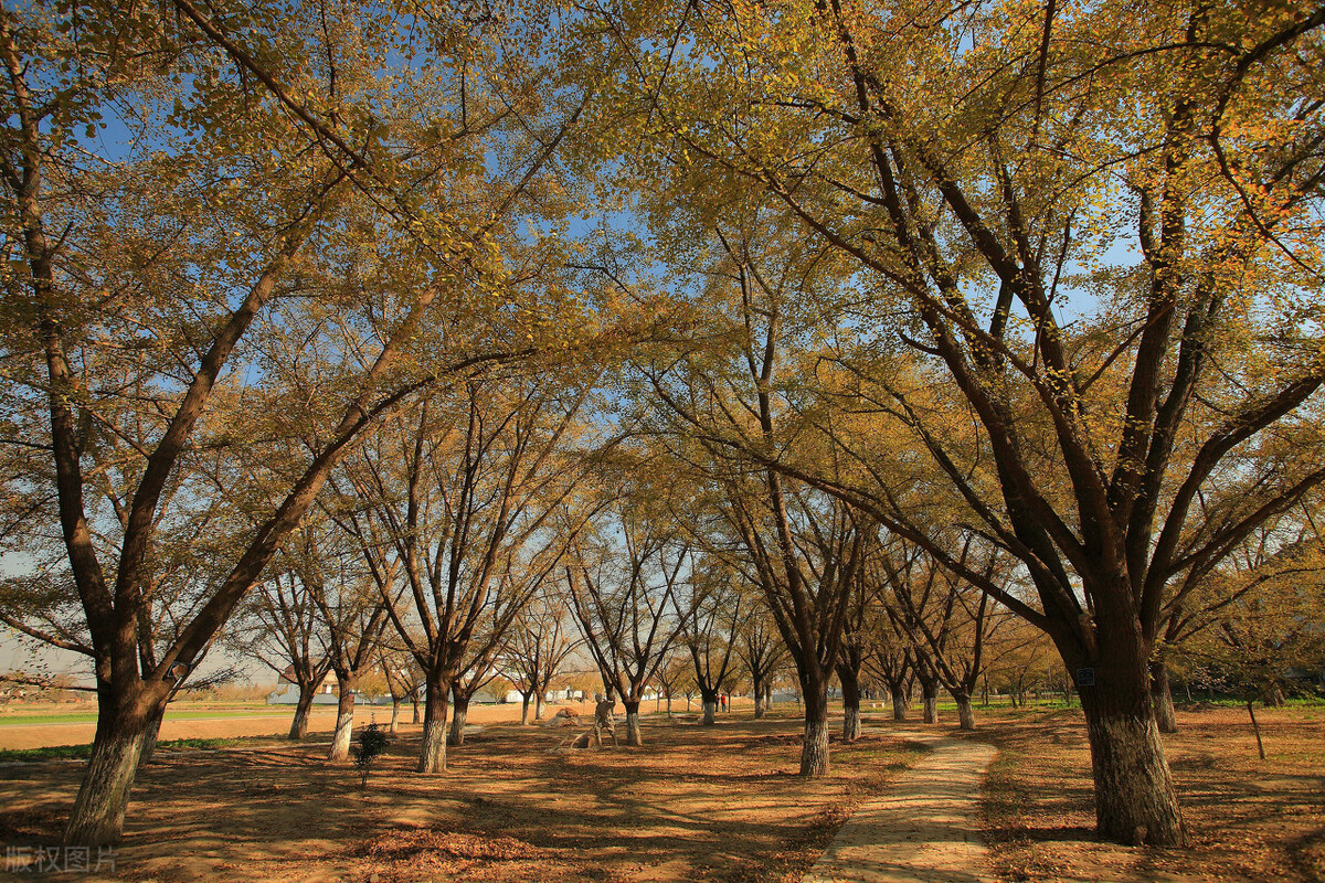忆班长#身边的焦裕禄原曲霞镇书记赵垣轩#人民公仆#时代的干部