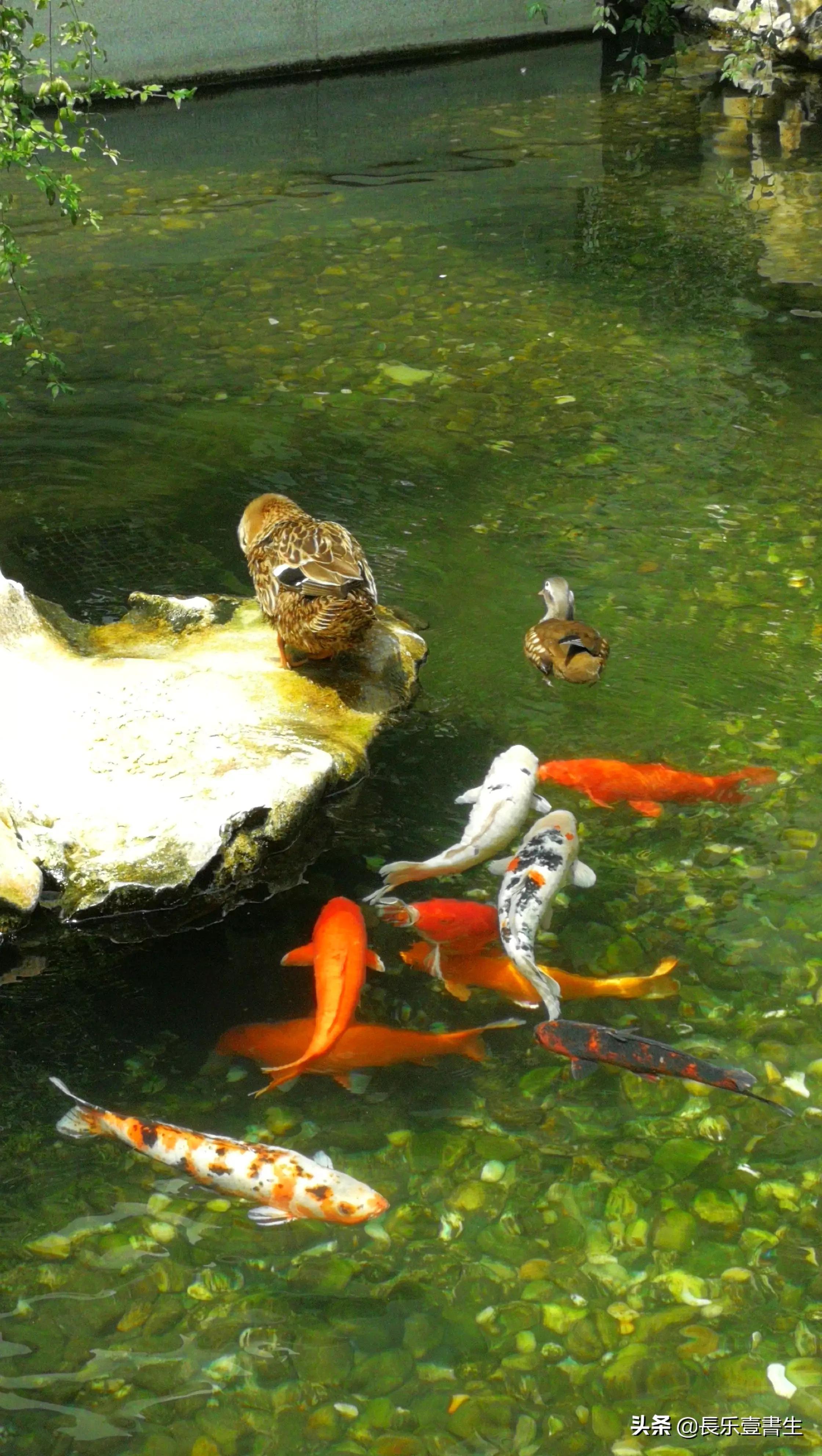 中国园林博物馆游览时间表,小众游玩强烈推荐北京园林博物馆