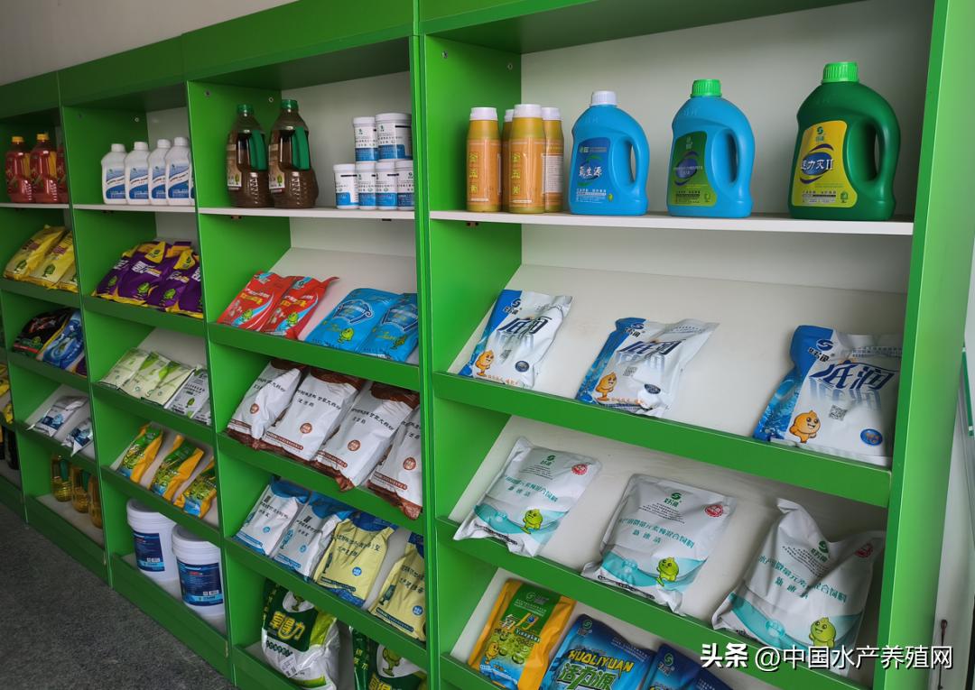 高温死蟹,防止青蟹死亡