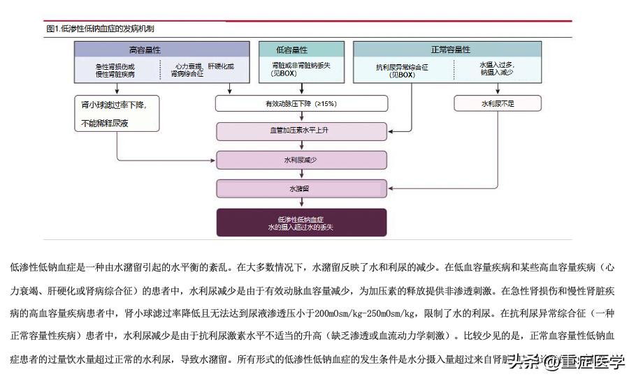低钠血症最佳补钠方法,低钠血症的诊断及治疗流程ppt