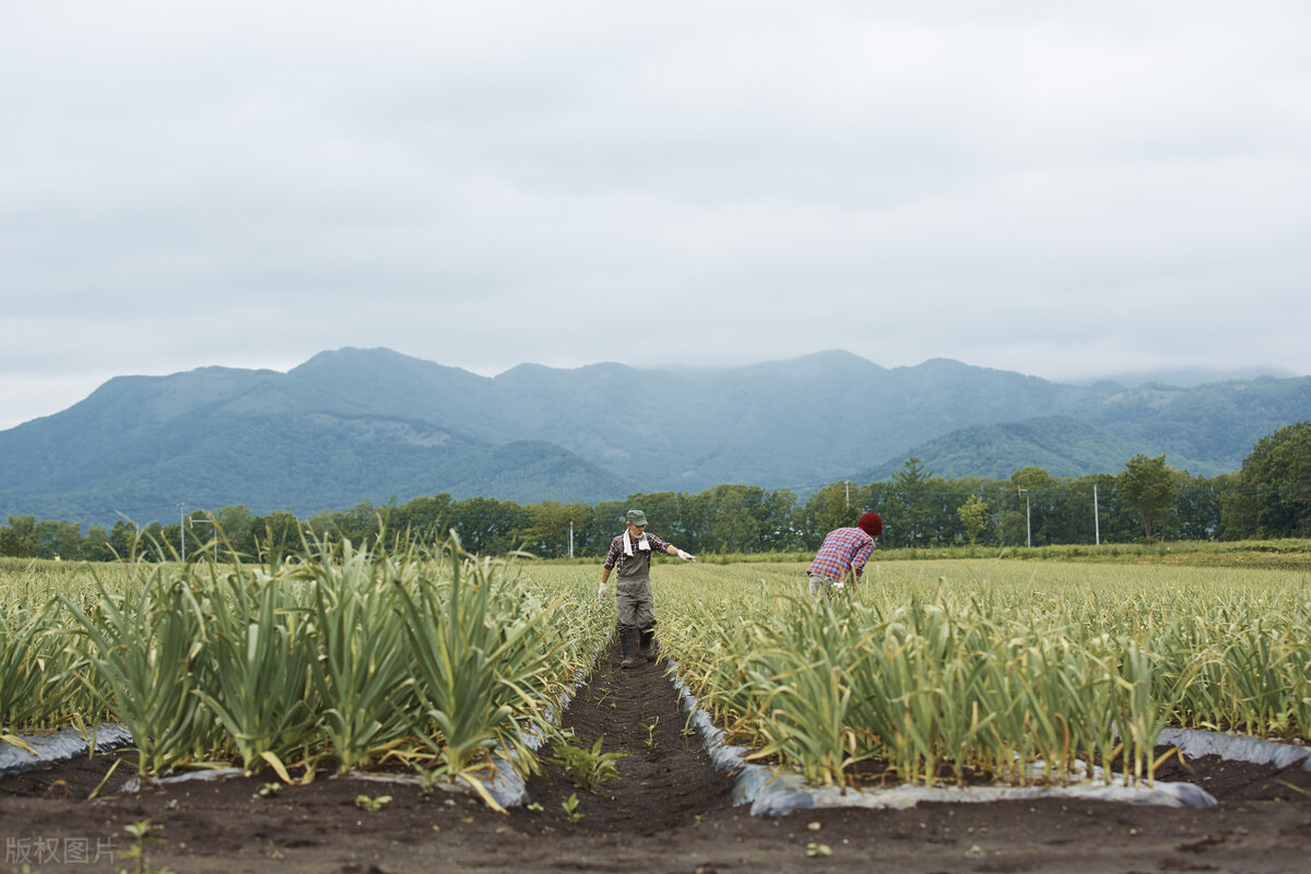 我在日本打工的那些日子,八十后的我在日本