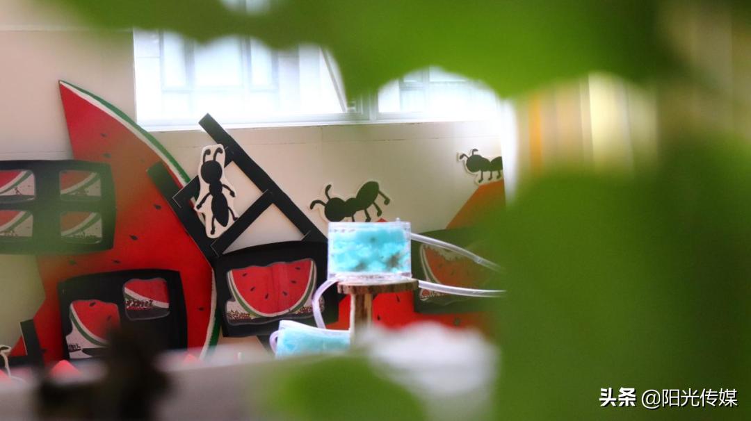 2024德阳公办幼儿园报名统计,德阳2024幼儿园招生信息一览表