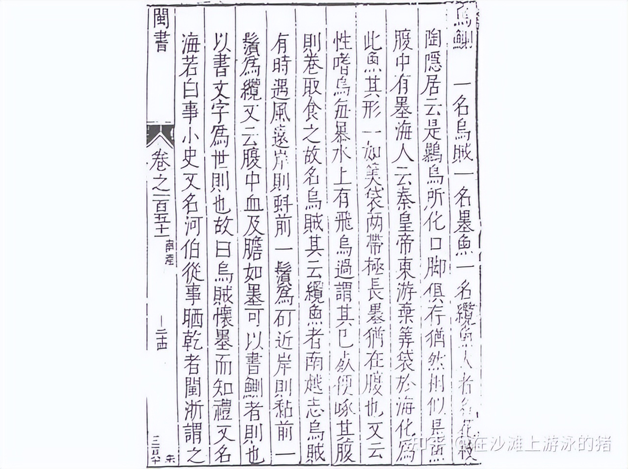 大话舟山海鲜系列(三)—大话墨鱼(喷墨家族成员之一)