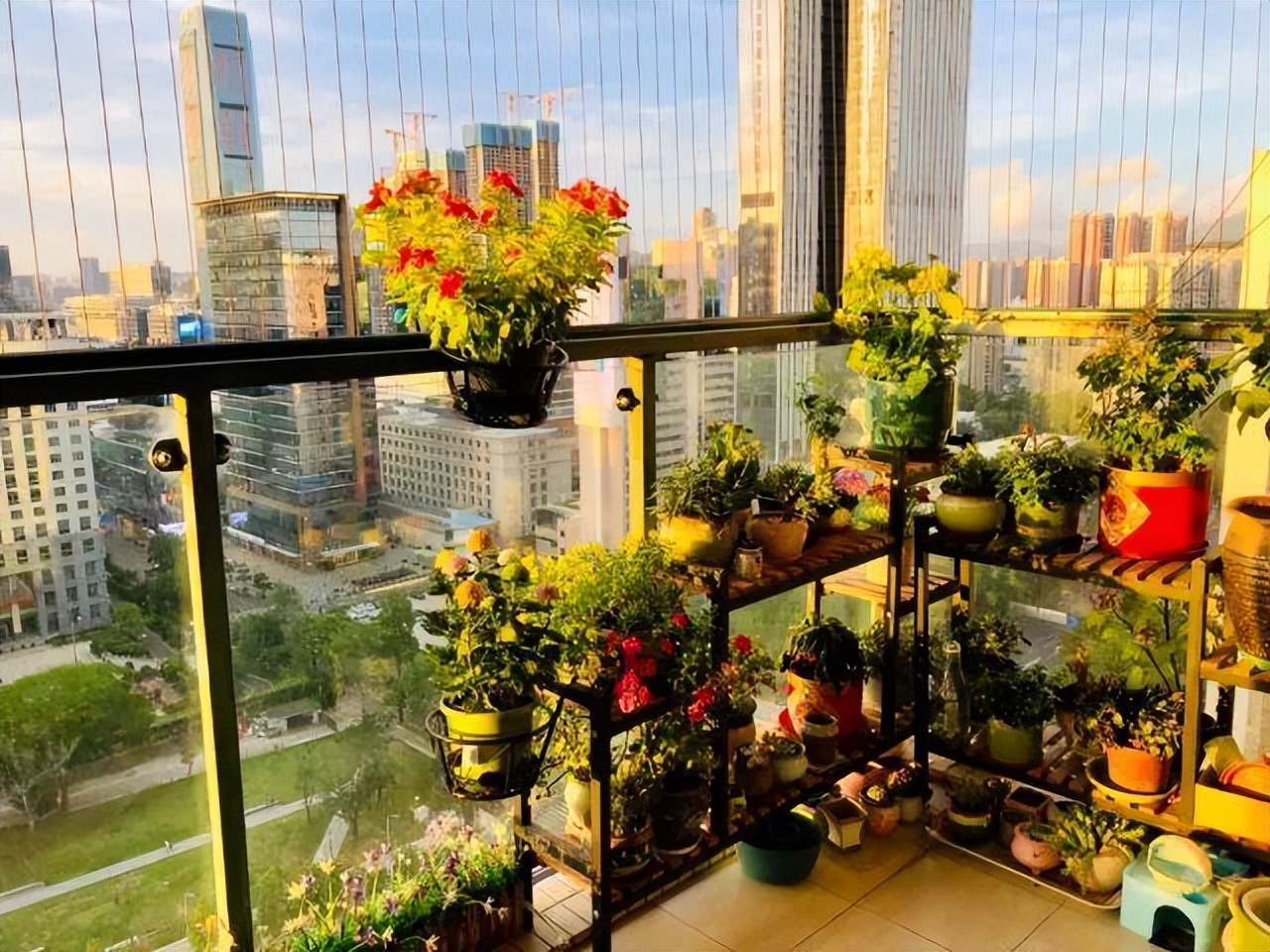 封闭阳台不怕夏天暴晒的植物,适合阳台高温暴晒的植物