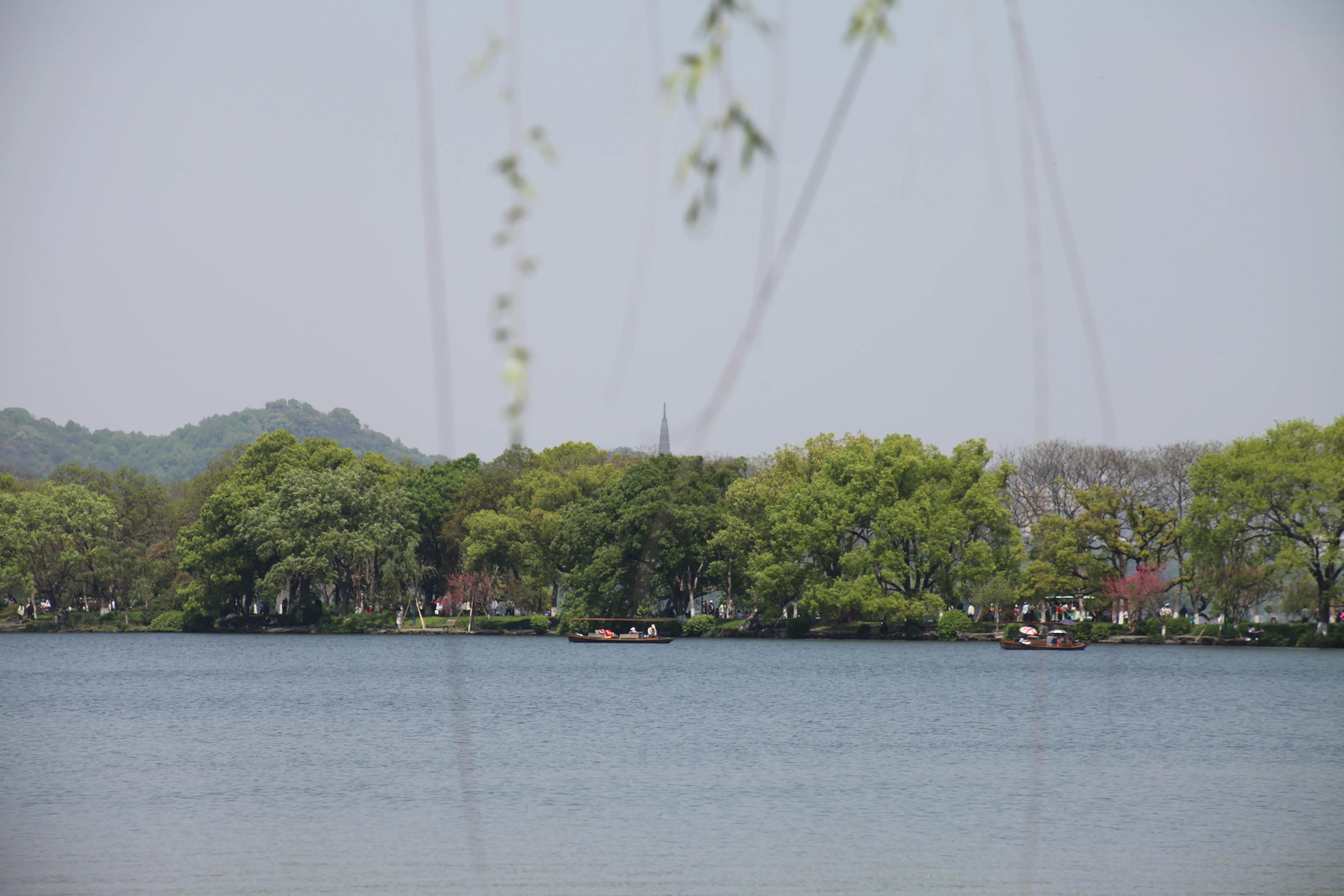 杭州旅游门票预约,杭州长乔极地海洋公园门票