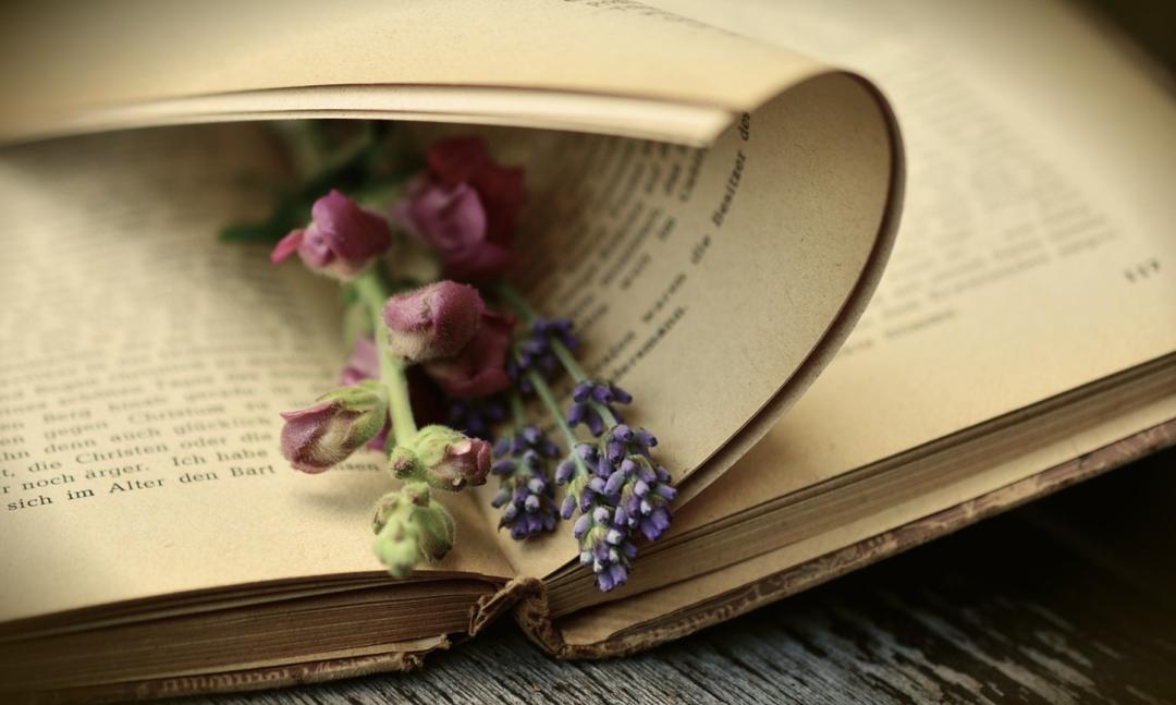 学会自如而清晰的当众演讲,如何训练自己当众演讲