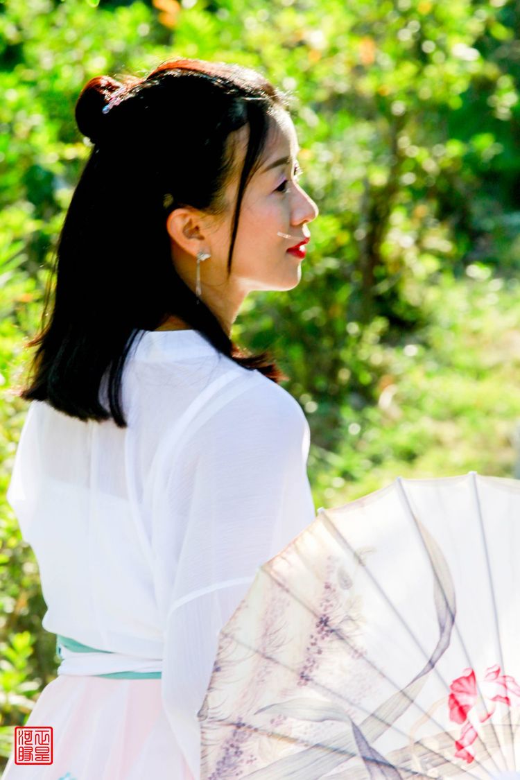 各领风骚全诗,各领风骚是哪首诗