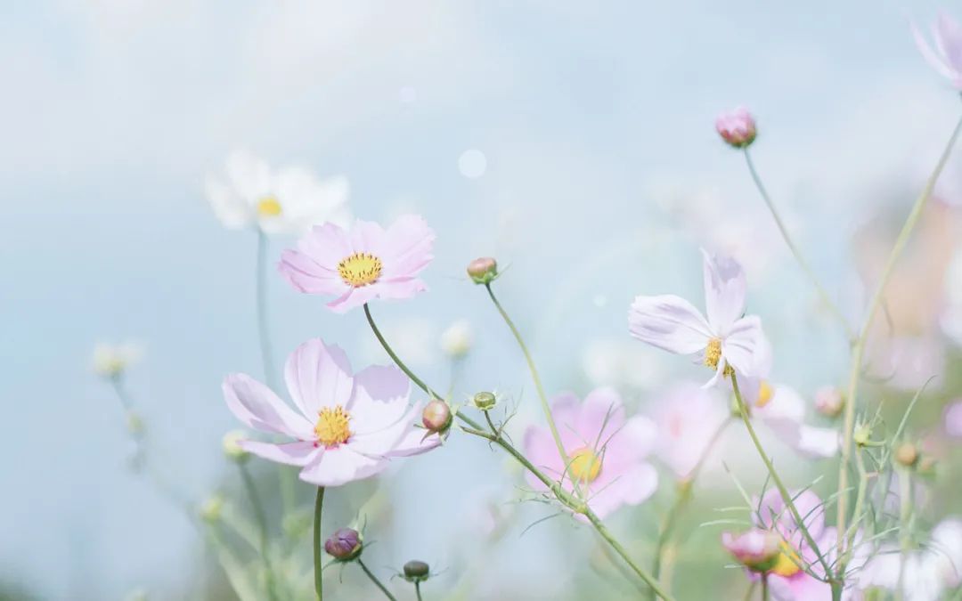 描述平淡的婚姻唯美句子,平淡的生活简单的幸福句子