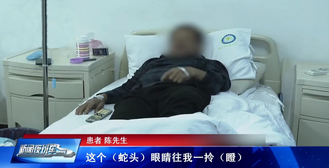 捡到眼镜蛇炖汤，剪掉的蛇头却突然“复活”，浙江老伯差点失明