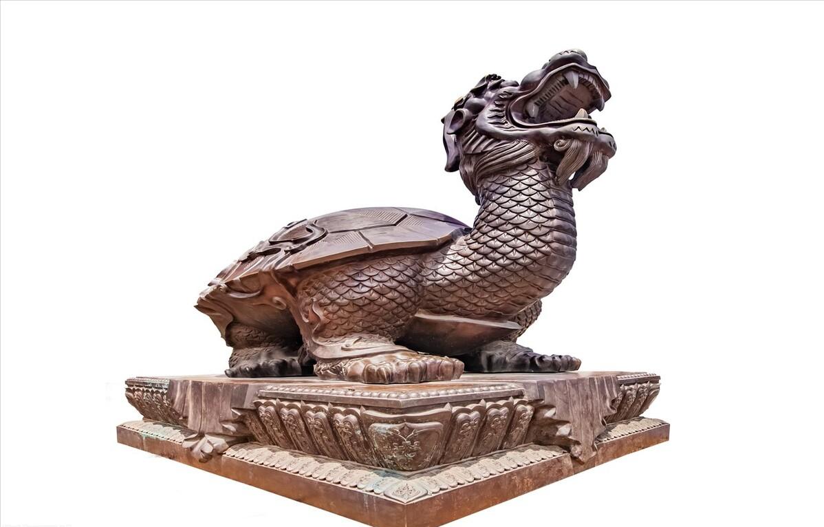 佛罗里达鳖为什么就破坏了生态,佛罗里达鳖是云南入侵物种吗