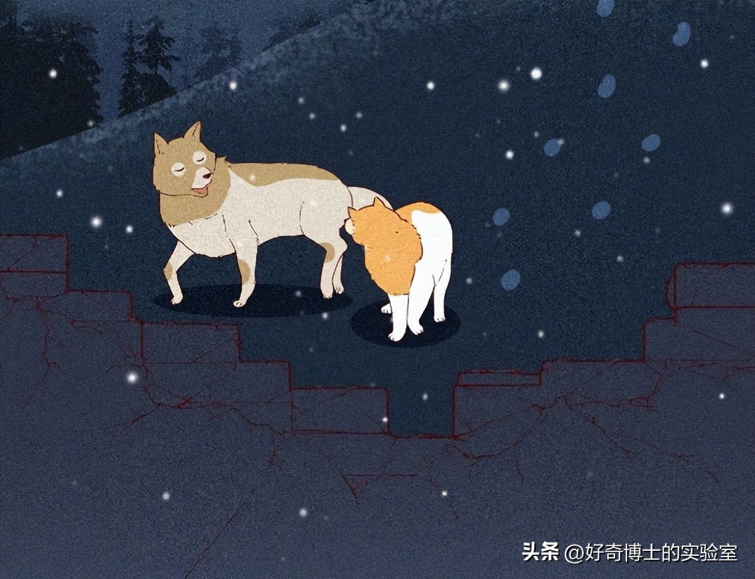 狗朝着没人的地方狂吠，是看到了什么「不干净」的东西吗？