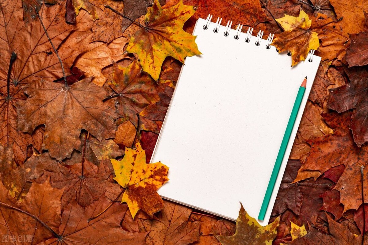 初中语文作文写作技巧100条,中考作文写作技巧与方法大全