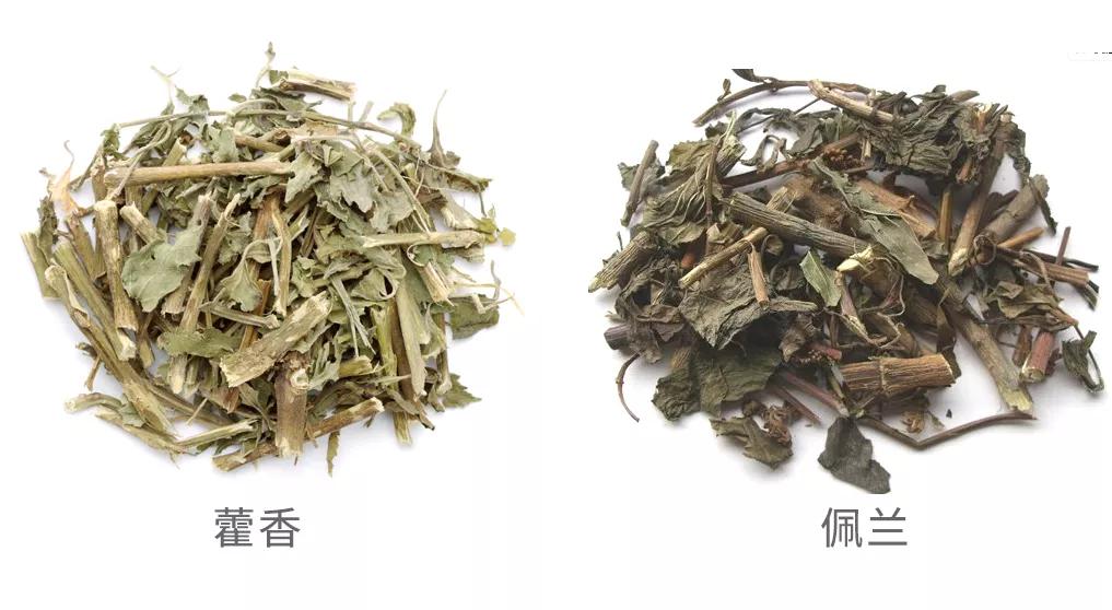 口苦口涩是肝不好还是胃不好,口苦口臭肝区胀怎么回事