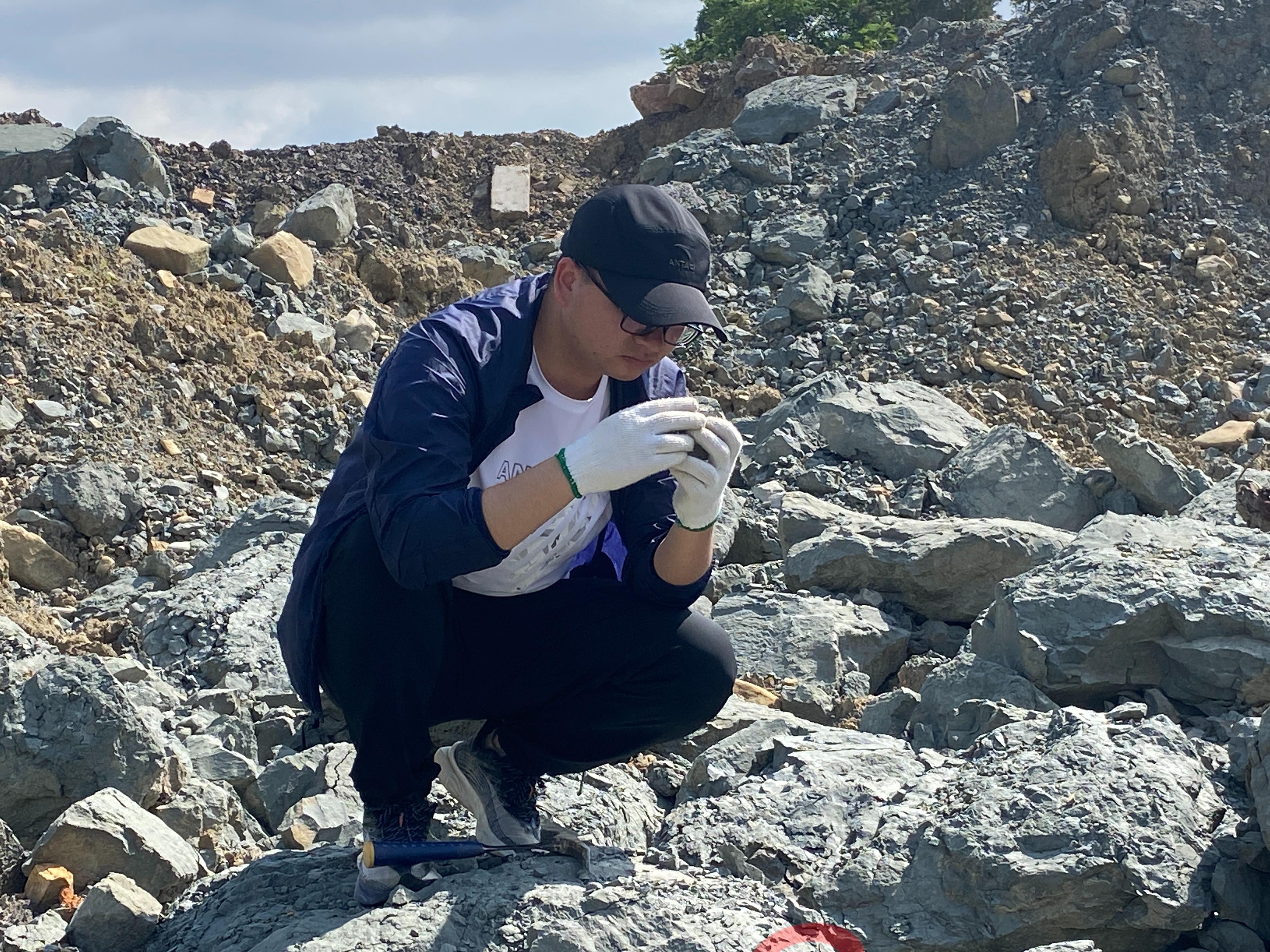 云南5亿年前鱼化石,中国远古鱼类化石