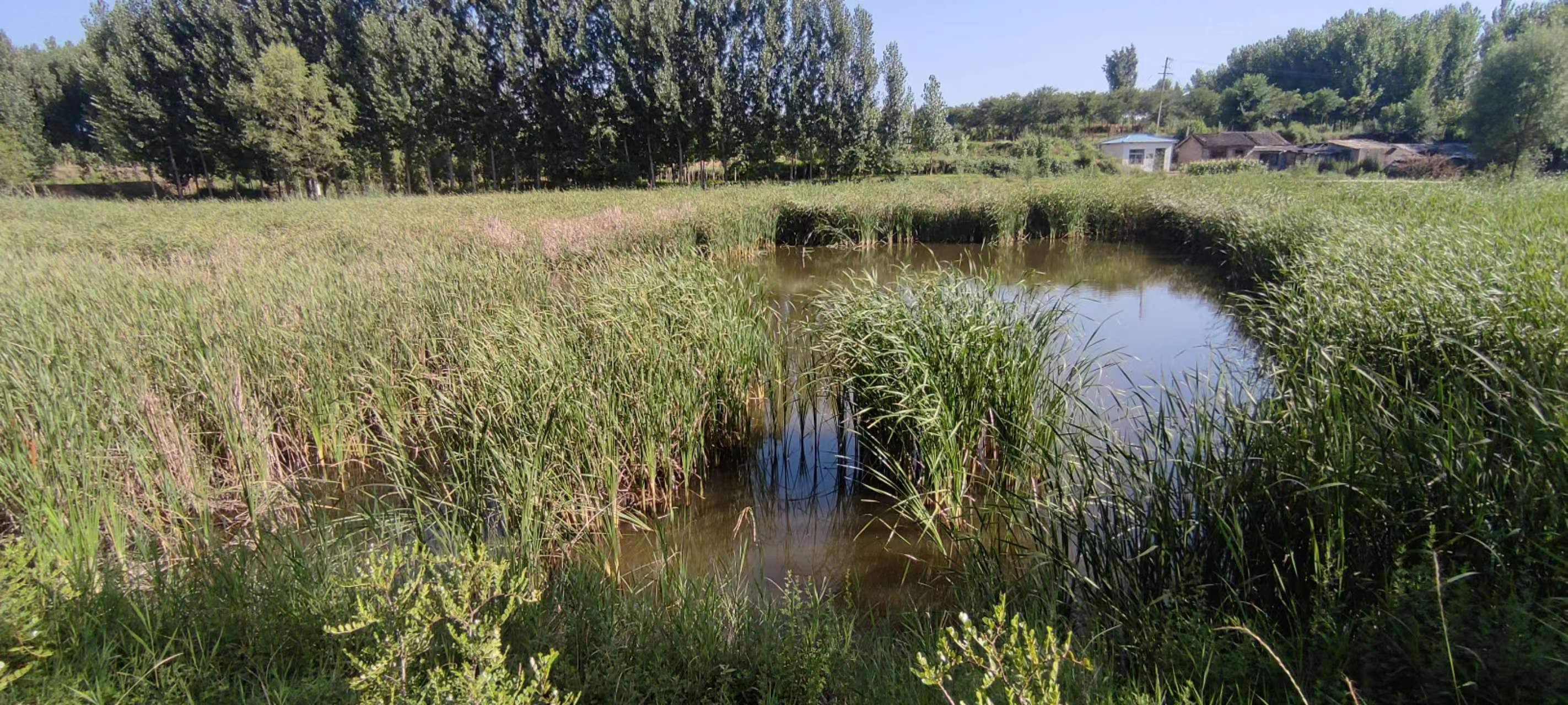 古中国考出彭蠡泽｜张笔魁