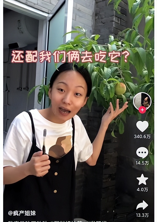 疯产姐妹：白手，两年，四千万粉丝，广告收入千万