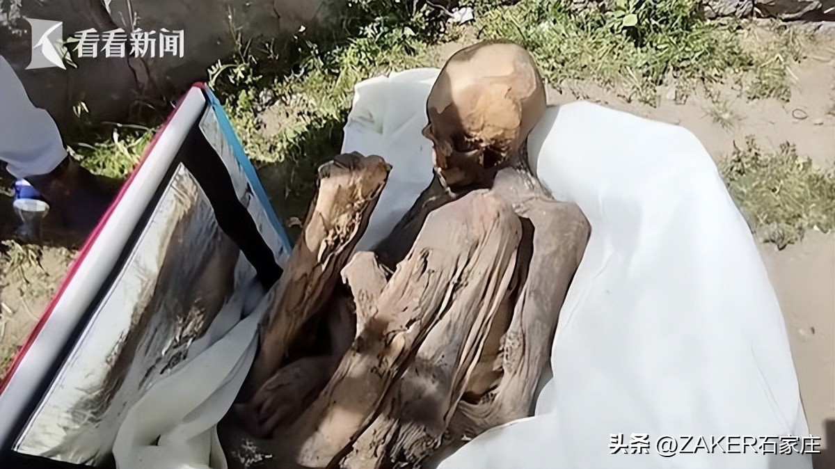 早新闻3.3|石家庄市劳动监察举报热线变更；这类考试将于3月4日至3月7日举行；这场招聘会就业岗位5万余个