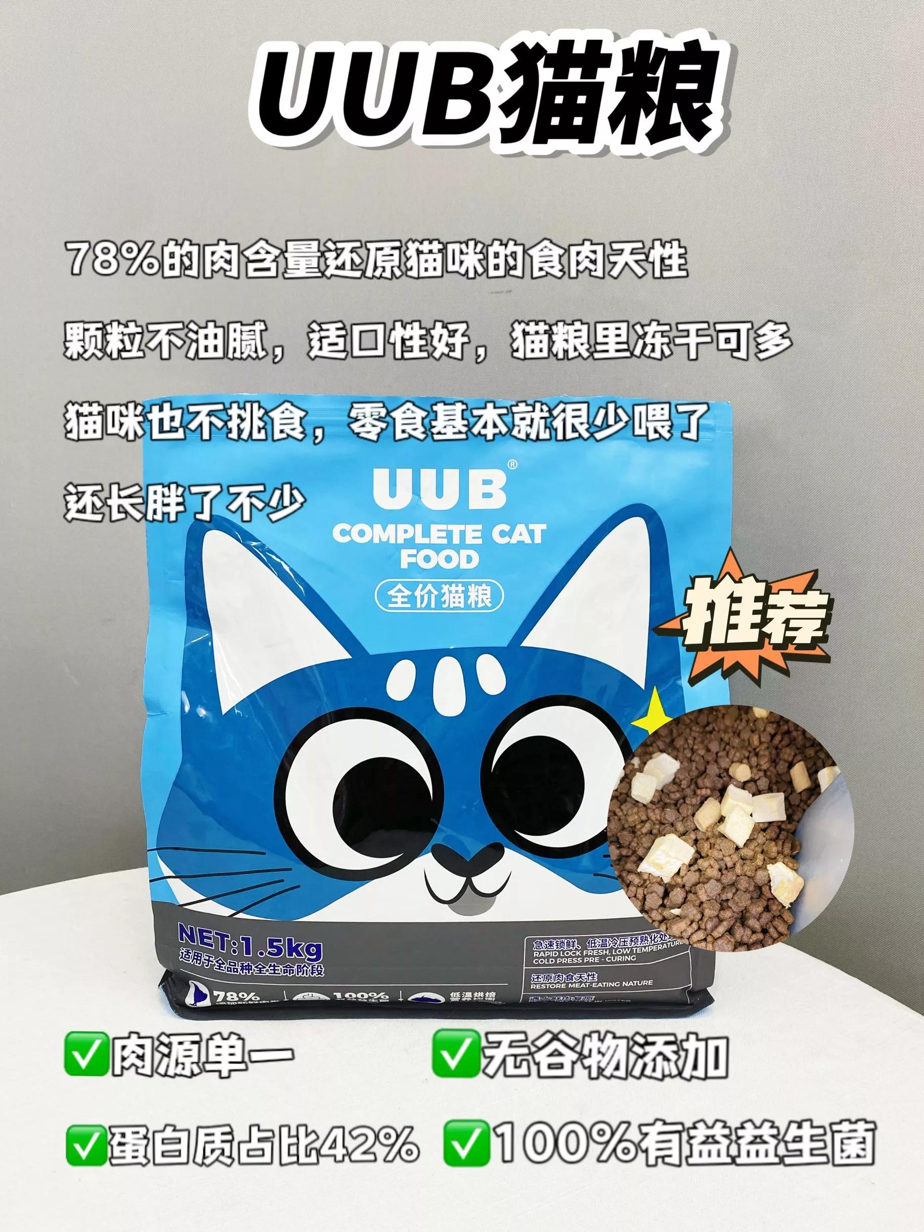 月均花费200低成本养猫攻略,月收入2000养猫