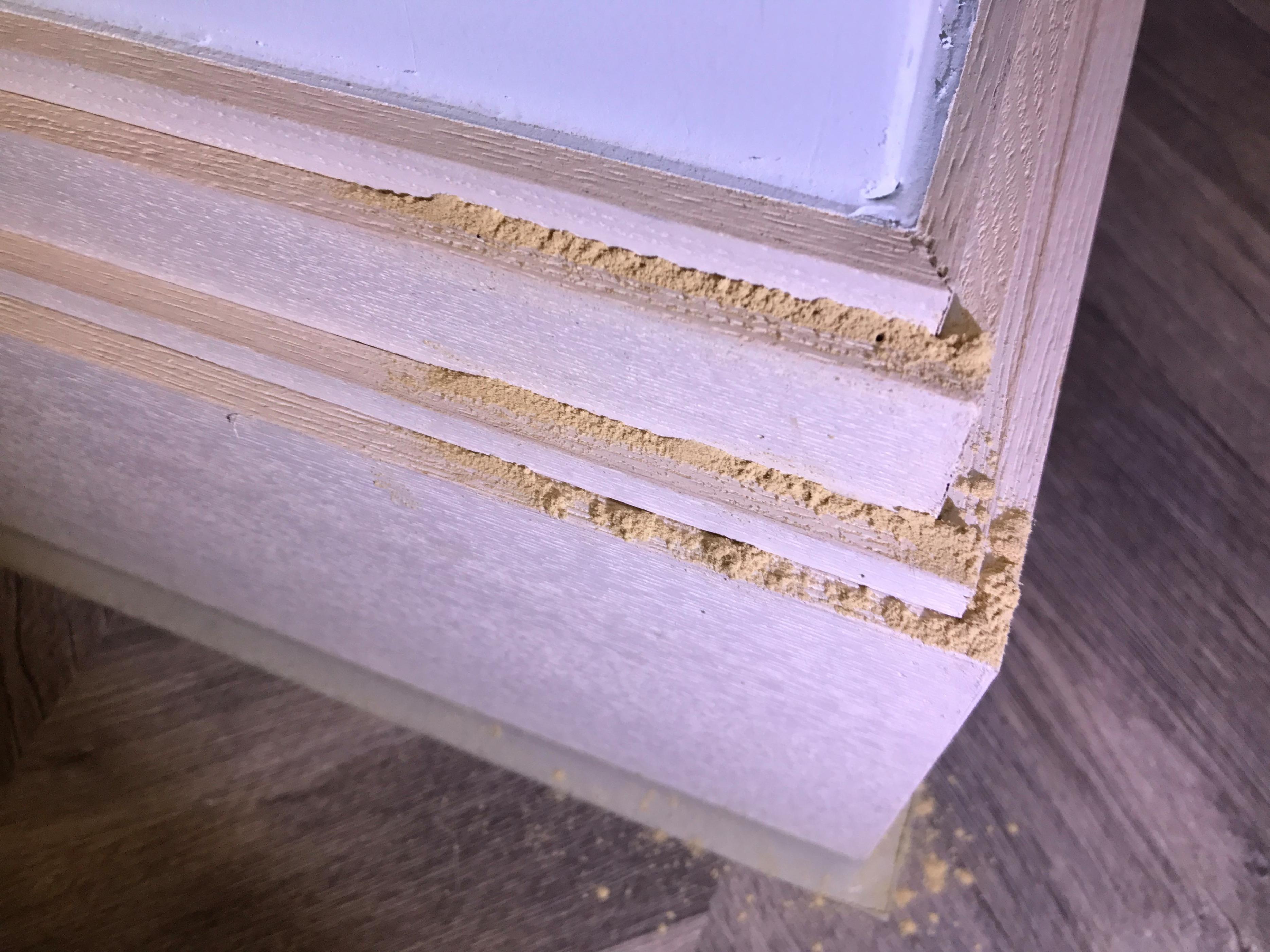 家里容易出现的各种害虫,家里有害虫怎么彻底消灭