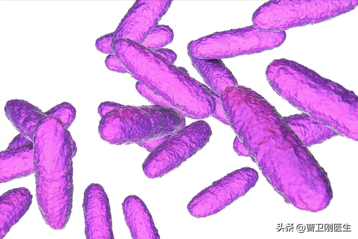乳房真菌癣,真菌病科普