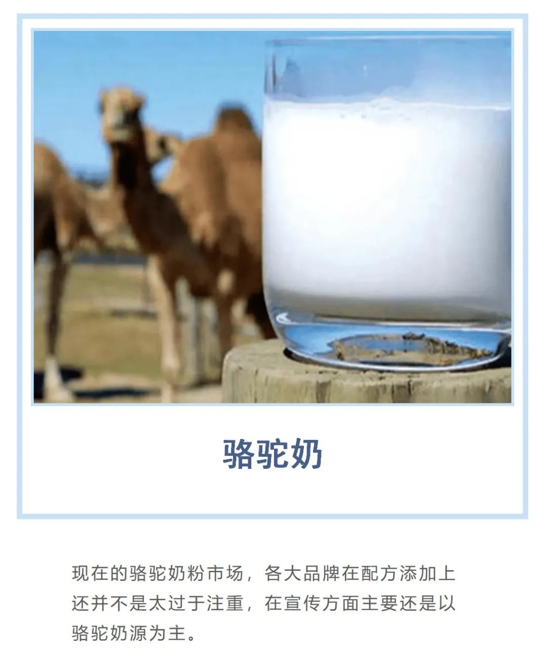 驼奶营养是否夸大,驼奶中国品牌排行真实情况曝光