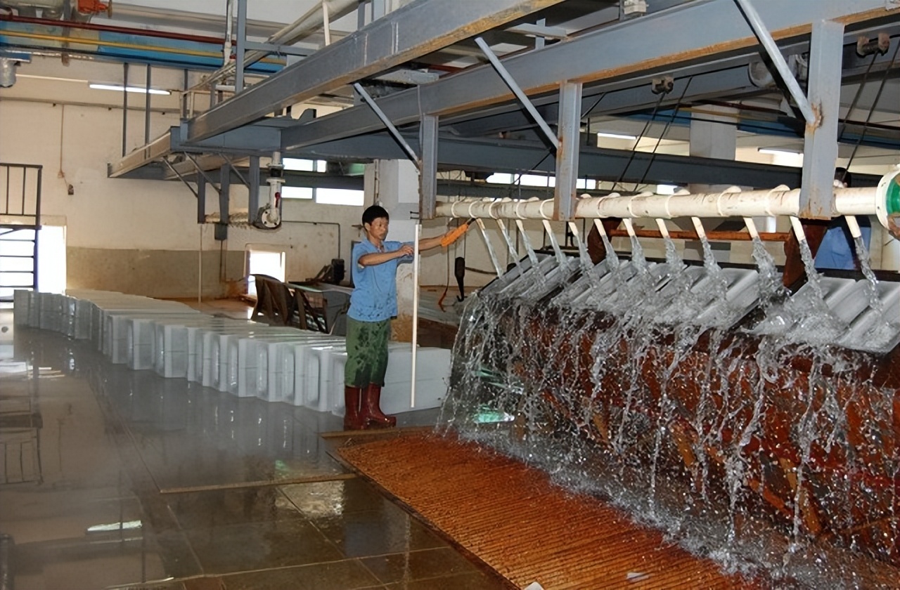 国内最大制冰工厂,5吨食用冰制冰厂投资多少钱