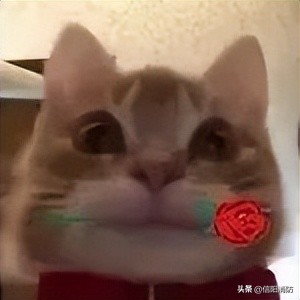 手机掉进粪坑里迅速捡起有影响吗,手机掉进粪坑里捞出来还能用吗