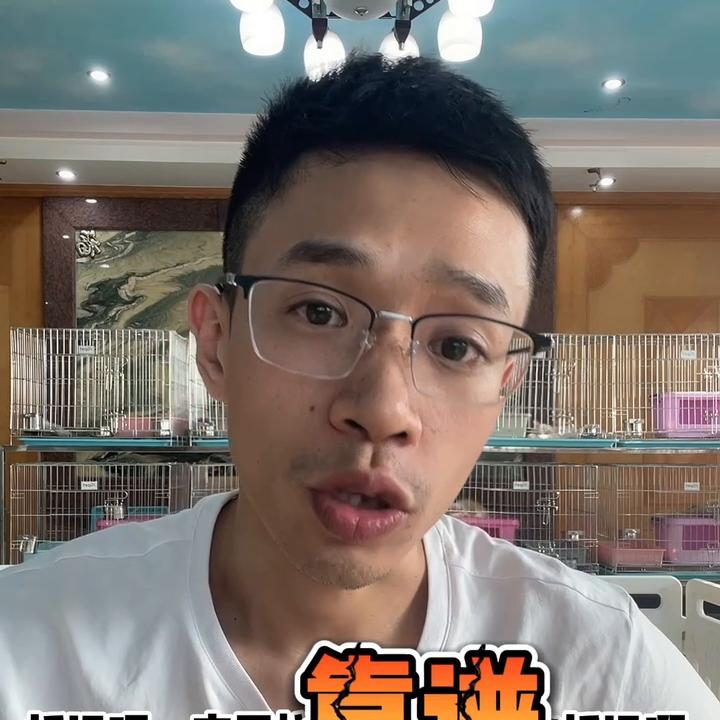 在大陆可以买猫过去香港吗,香港买东西需要注意什么