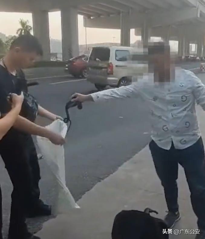 老头徒手抓毒蛇被咬死,路边男子抓蛇后续