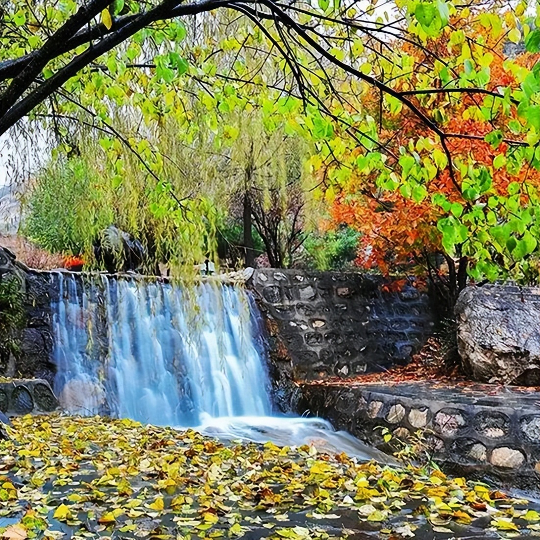 不觉秋已至的古诗,不觉秋已至绝美的平原之秋